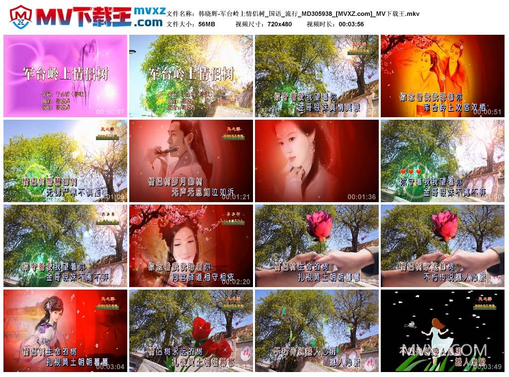 韩晓辉-军台岭上情侣树_国语_流行_MD305938